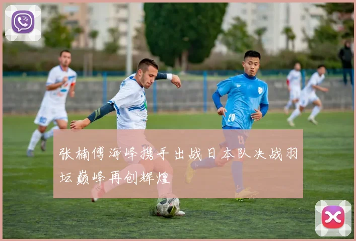 张楠傅海峰携手出战日本队决战羽坛巅峰再创辉煌