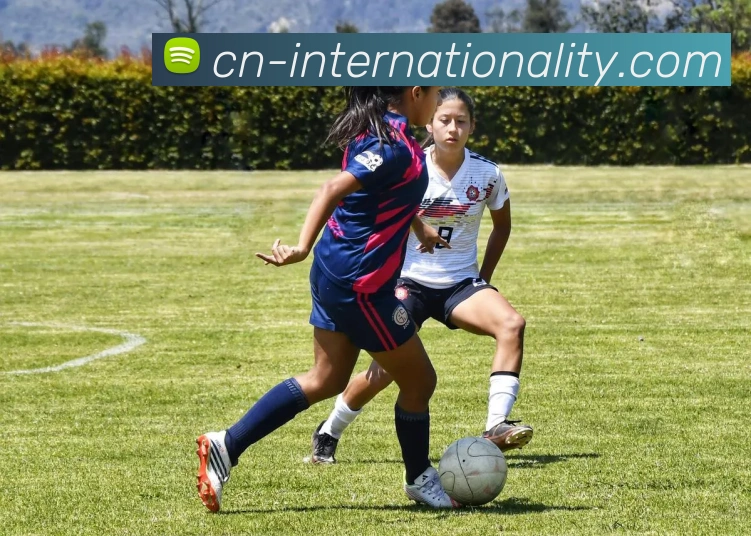 问鼎国际APP 封面图