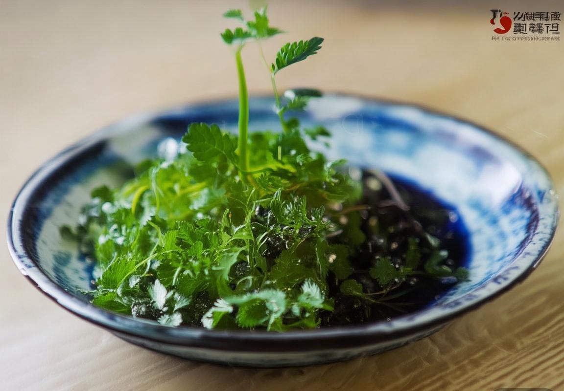 菲尔特vs布伦瑞克：战术对决与赛季前景分析(图2)